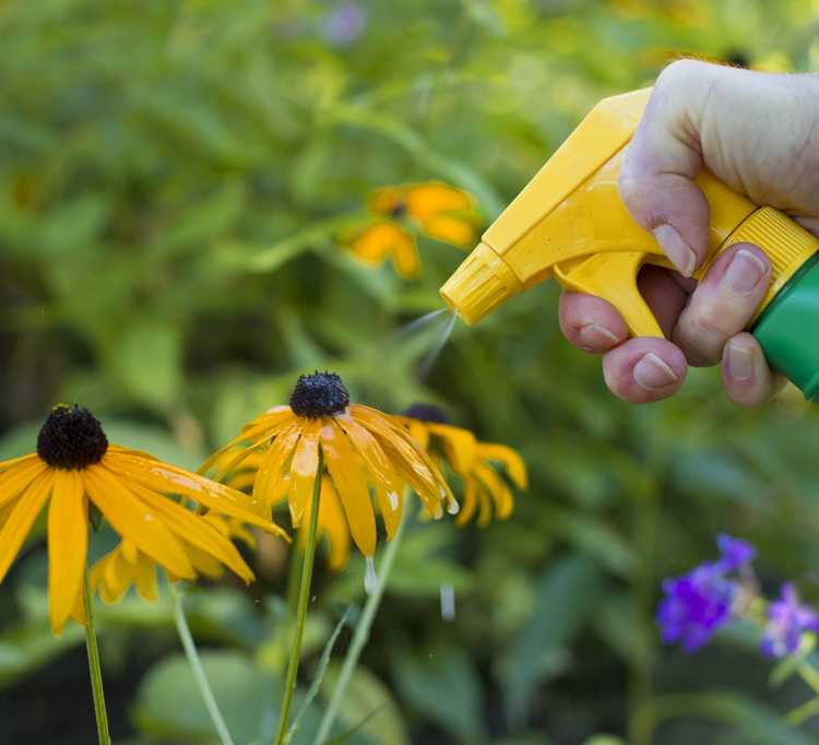 You are currently viewing Que sont les adjuvants herbicides : Guide des adjuvants herbicides pour les jardiniers