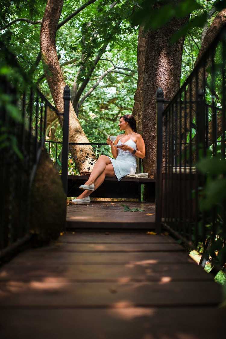 You are currently viewing Qu'est-ce qu'une cabane dans les arbres pour adultes : créer une cabane dans les arbres pour les adultes