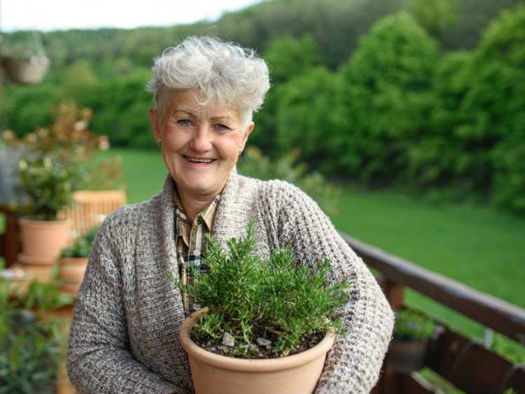 You are currently viewing Les meilleures herbes pour les personnes âgées – Herbes et épices saines pour personnes âgées