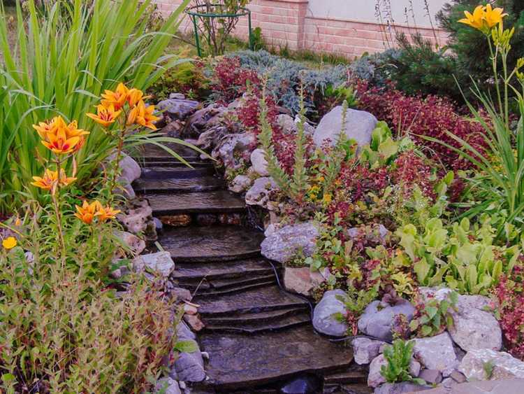 Lire la suite à propos de l’article Alternatives aux jardins pluviaux en pente : planter un jardin pluvial sur une colline