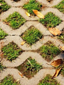 Lire la suite à propos de l’article Informations sur les allées perméables : découvrez comment créer une allée en herbe