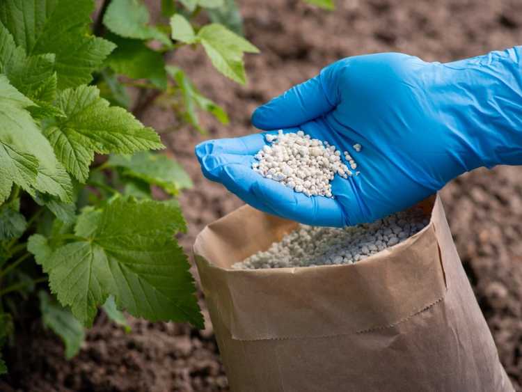 Lire la suite à propos de l’article Choix d’engrais alternatifs pour le jardinage biologique