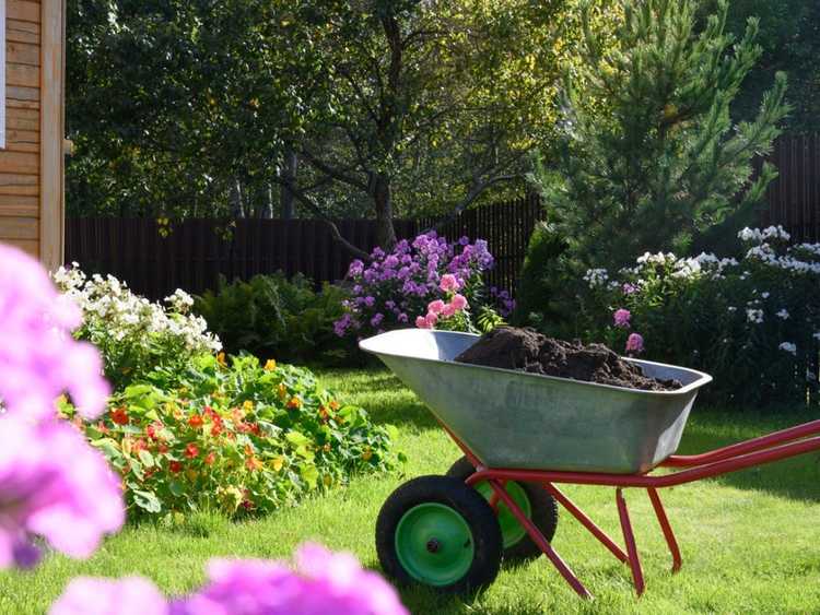 Lire la suite à propos de l’article Comment modifier le sol autour des plantes existantes