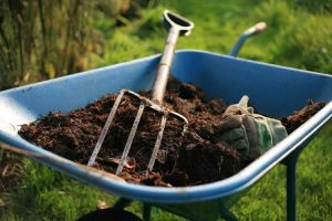 Lire la suite à propos de l’article Qu'est-ce qu'un amendement de sol : utiliser un amendement de sol dans le jardin