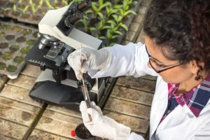 Lire la suite à propos de l’article Vérification du sol du jardin : pouvez-vous tester le sol pour détecter les parasites et les maladies