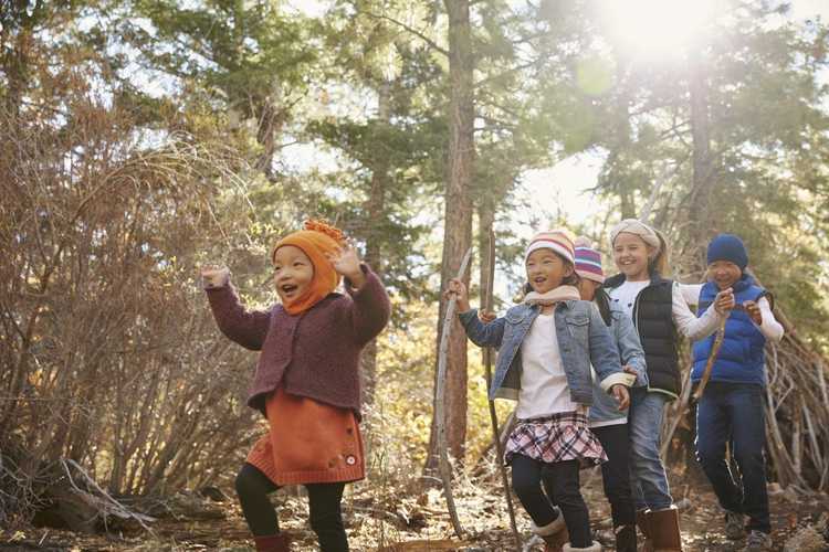 Lire la suite à propos de l’article Créer une aire de jeux naturelle : comment construire une aire de jeux de jardin