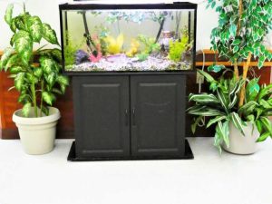 Lire la suite à propos de l’article Plantes arrosées avec de l'eau d'aquarium : utiliser l'eau d'aquarium pour irriguer les plantes