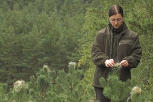 Lire la suite à propos de l’article Qu'est-ce qu'un arboriculteur : conseils pour choisir un arboriculteur