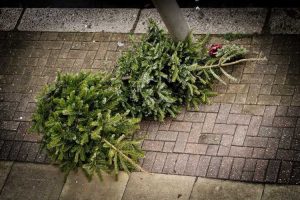 Lire la suite à propos de l’article Élimination des arbres de Noël : comment recycler un arbre de Noël