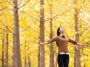 Lire la suite à propos de l’article Comment faire pousser un jardin de qualité de l'air