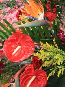 Lire la suite à propos de l’article Des plantes tropicales pour les centres de table d'été : faire pousser des compositions florales tropicales