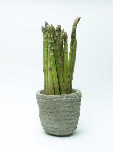 Lire la suite à propos de l’article Plantes d'asperges en pot – Pouvez-vous cultiver des asperges dans des conteneurs