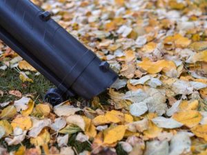 Lire la suite à propos de l’article Comment utiliser un aspirateur à feuilles dans votre jardin