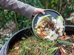 Lire la suite à propos de l’article Comprendre le mélange de bruns et de verts pour le compost