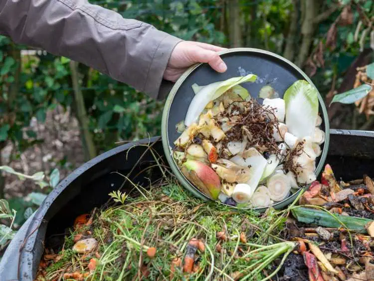 Lire la suite à propos de l’article Ajoutez au fur et à mesure le compostage – Qu’est-ce que le compostage passif
