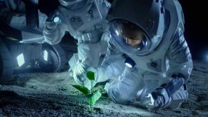 Lire la suite à propos de l’article Horticulture spatiale : découvrez comment les astronautes cultivent des plantes dans l'espace