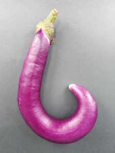 Lire la suite à propos de l’article Informations sur les aubergines Orient Charm: Comment faire pousser des aubergines Orient Charm