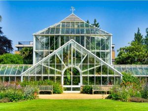 Lire la suite à propos de l’article Importance des jardins botaniques dans la conservation des plantes