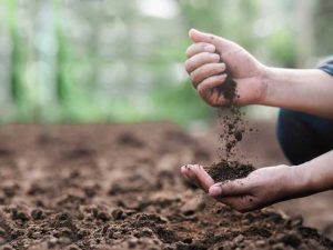 Lire la suite à propos de l’article Guide de conservation des sols – Tout ce que vous devez savoir