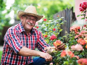 Lire la suite à propos de l’article 10 avantages psychologiques des plantes et du jardinage