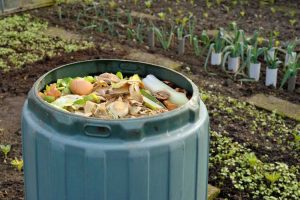Lire la suite à propos de l’article Garder les bacs à compost propres : comment nettoyer un bac à compost