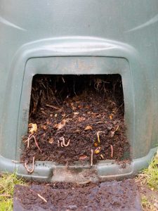 Lire la suite à propos de l’article Vermiculture en climat chaud : prendre soin des vers par temps chaud