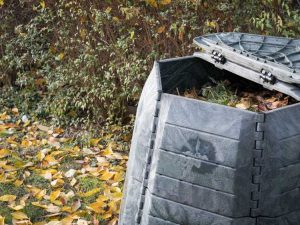 Lire la suite à propos de l’article Le guide ultime du compostage pour les débutants