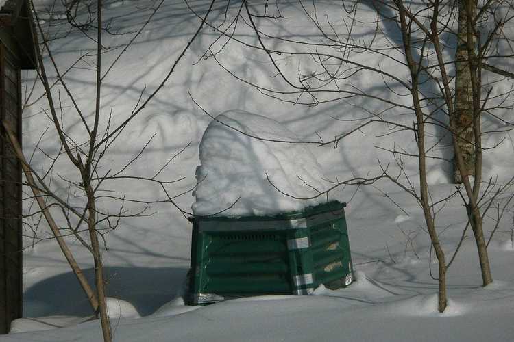 Lire la suite à propos de l’article Compostage hivernal : comment conserver le compost pendant l'hiver