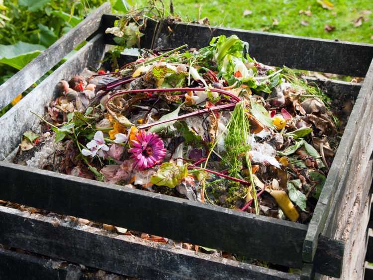 Lire la suite à propos de l’article Mon thé de compost pue : que faire lorsque le thé de compost sent mauvais