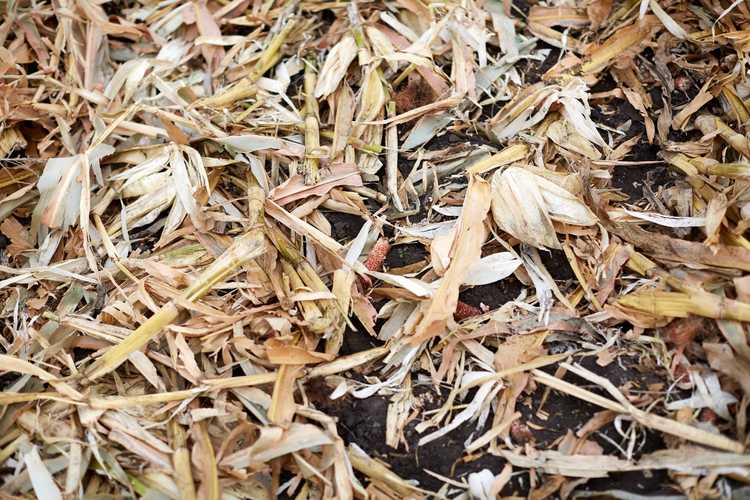 Lire la suite à propos de l’article Séparation des graines et des paillettes – Comment séparer les graines des paillettes