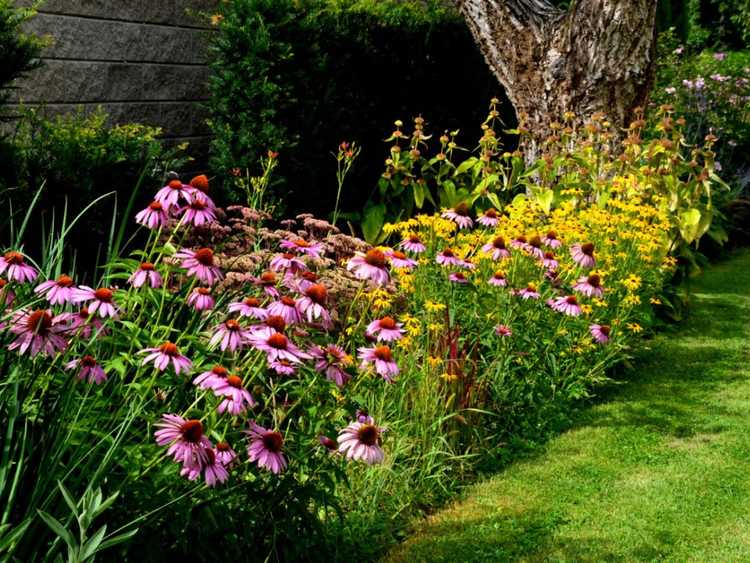 You are currently viewing Comment les bandes de fleurs sauvages aident à attirer les pollinisateurs dans votre jardin