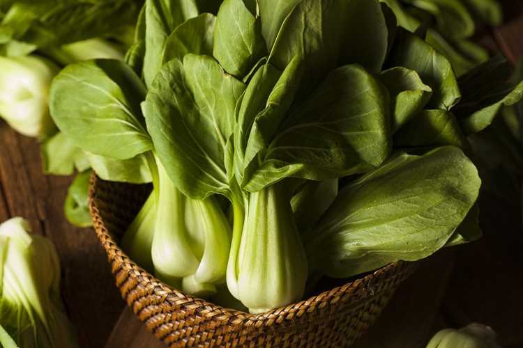 You are currently viewing Qu'est-ce que le bébé Bok Choy : Bok Choy contre. Bébé Bok Choy