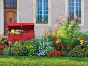 Lire la suite à propos de l’article Comment faire pousser un jardin Bloomcore tendance (mais intemporel)