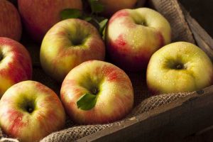 Lire la suite à propos de l’article Honeycrisp Apple Care – Comment faire pousser un pommier Honeycrisp