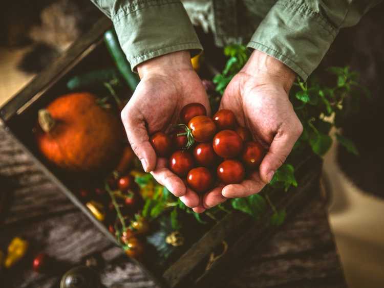 Lire la suite à propos de l’article Qu’est-ce que du jardin à la table – Signification et idées du jardin à la table