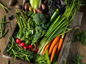 Lire la suite à propos de l’article Conseils pour la récolte du jardin – Directives générales pour la récolte des légumes