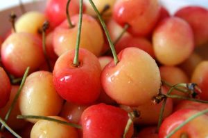 Lire la suite à propos de l’article Que sont les cerises Early Robin – Quand les cerises Early Robin mûrissent-elles