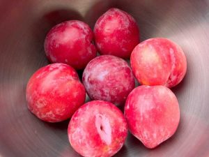 Lire la suite à propos de l’article En savoir plus sur la culture des arbres Plumcot et Pluots