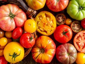 Lire la suite à propos de l’article Plants de tomates anciennes : qu'est-ce qu'une tomate ancienne