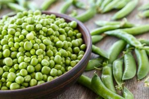 Lire la suite à propos de l’article Plantes de pois Maestro – Comment faire pousser des pois à écosser Maestro