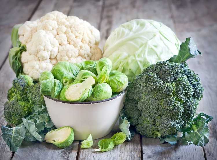 You are currently viewing Choisir des légumes riches en vitamine K : quels légumes sont riches en vitamine K