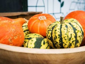 Lire la suite à propos de l’article Durcissement des courges – Comment conserver les courges pendant l'hiver