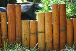 Lire la suite à propos de l’article Comment créer une bordure de jardin fleurie accrocheuse