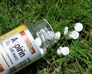 Lire la suite à propos de l’article Aspirine pour la croissance des plantes – Conseils sur l’utilisation de l’aspirine dans le jardin