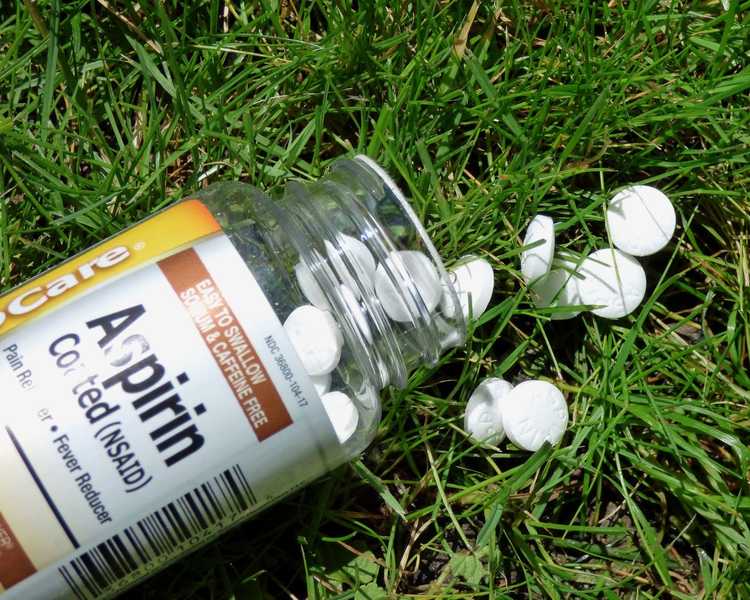 You are currently viewing Aspirine pour la croissance des plantes – Conseils sur l’utilisation de l’aspirine dans le jardin