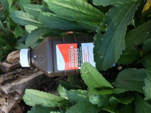 Lire la suite à propos de l’article Utilisations du peroxyde d’hydrogène dans le jardin : le peroxyde d’hydrogène nuira-t-il aux plantes