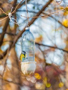 Lire la suite à propos de l’article Utiliser des bouteilles pour nourrir les oiseaux – Comment fabriquer une mangeoire à oiseaux en bouteille de soda