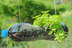 Lire la suite à propos de l’article Idées de recyclage de bouteilles de jardin – Comment réutiliser de vieilles bouteilles dans les jardins
