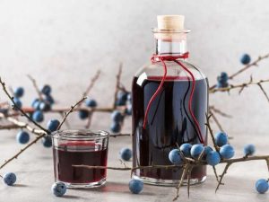 Lire la suite à propos de l’article DIY Sloe Gin : Comment récolter des prunelles et préparer du gin à la prunelle
