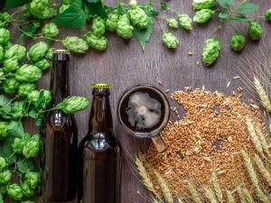 Lire la suite à propos de l’article Jardin de bière en pot : cultiver des ingrédients de bière dans des jardinières
